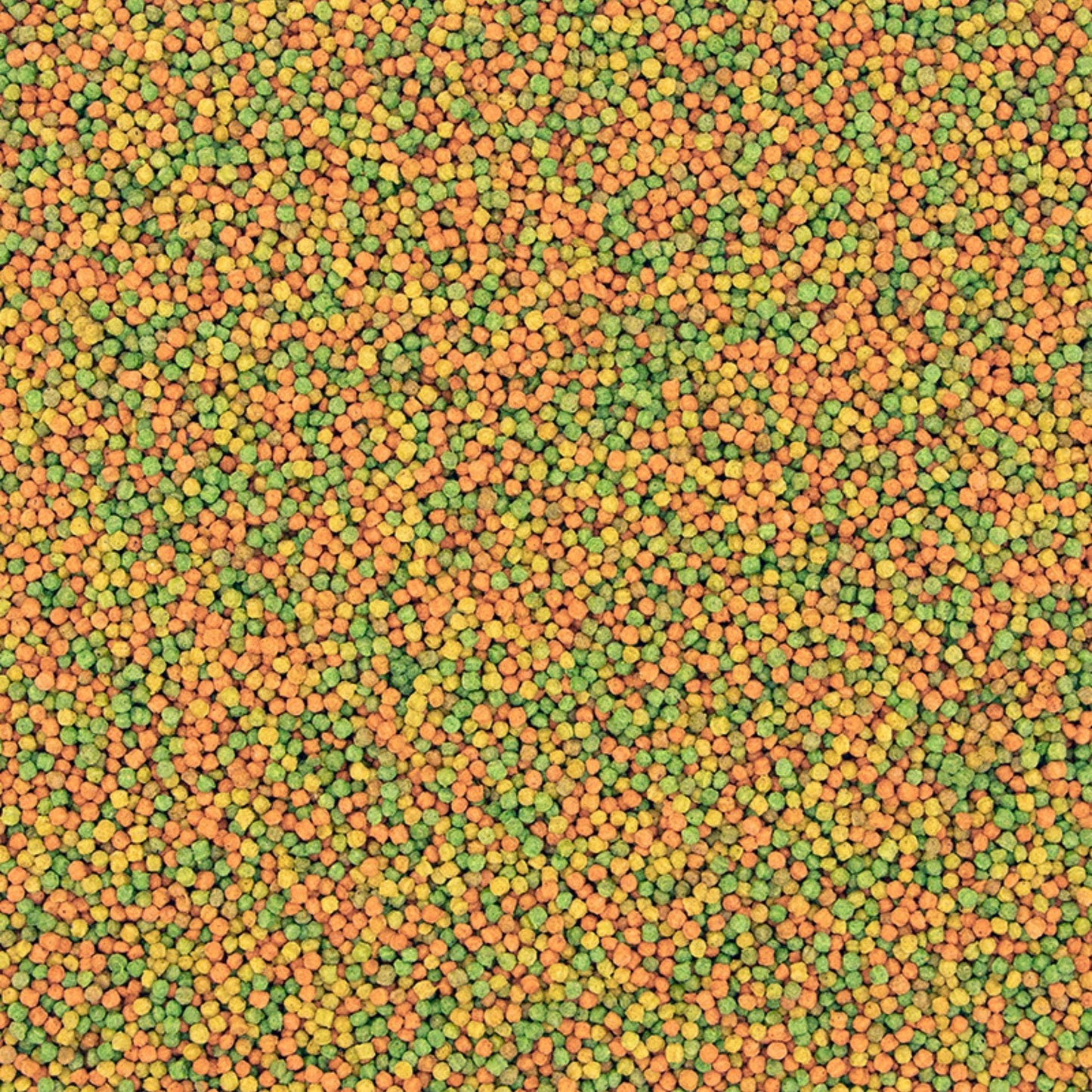 VERSELE LAGA B14 כופתיות לתוכי קטן ורסלה צבעוני 800 גרם