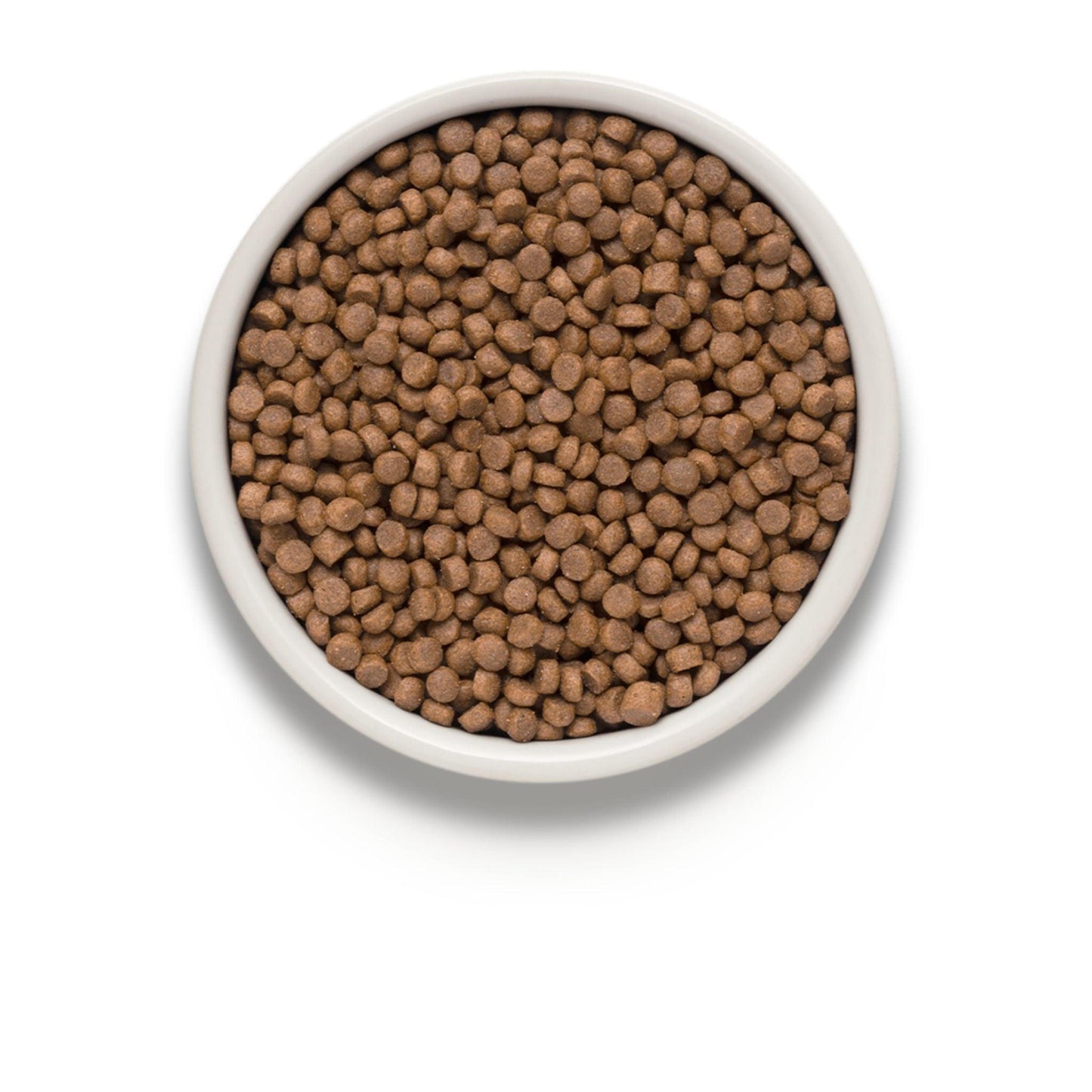 GRANDORF 4 Meat Sterilized גרנדורף 4 סוגי בשר סטרילייז לחתולים מסורסים ומעוקרות 400 גרם