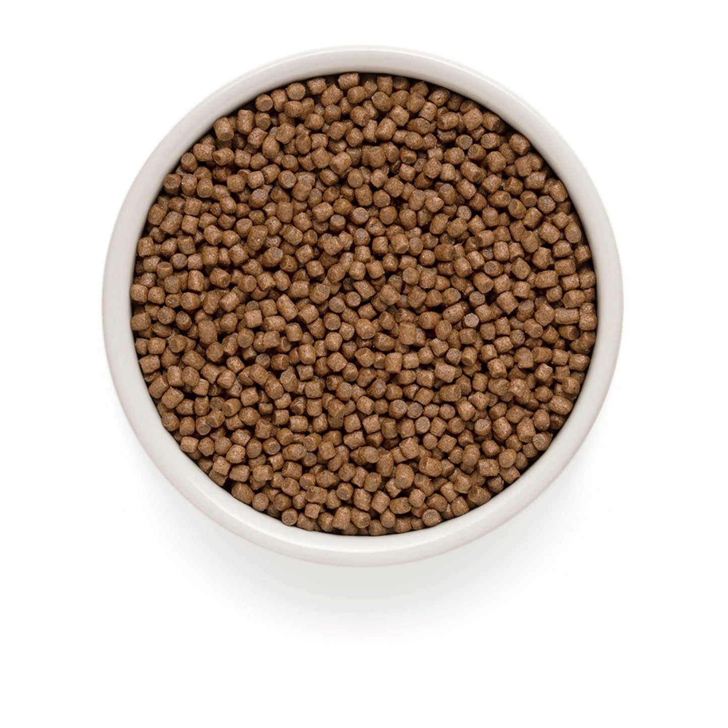 GRANDORF White Fish Indoor גרנדורף דגים לחתולים בוגרים היפואלרגני 6 ק"ג