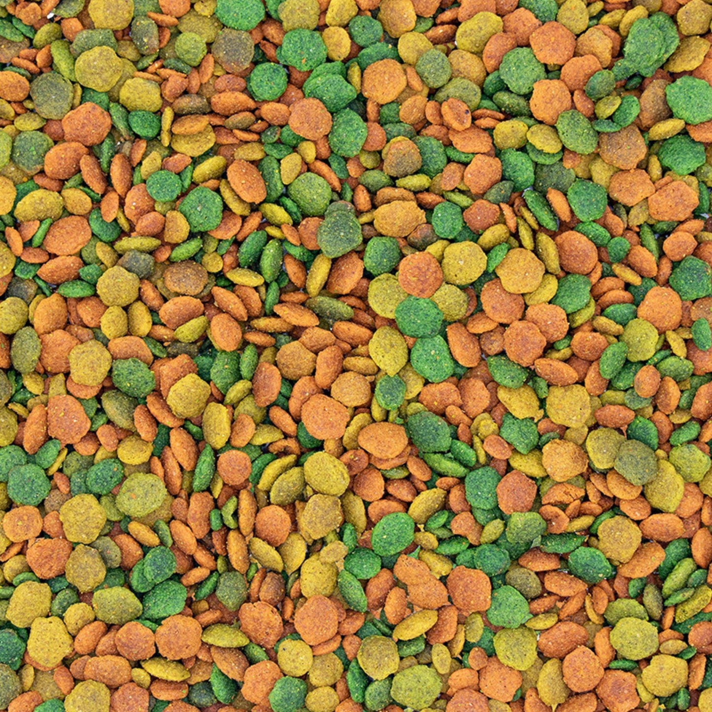 VERSELE LAGA G14 ורסלה לגה כופתיות לקוקטיילים וציפורי אהבה טרופי 1 ק”ג