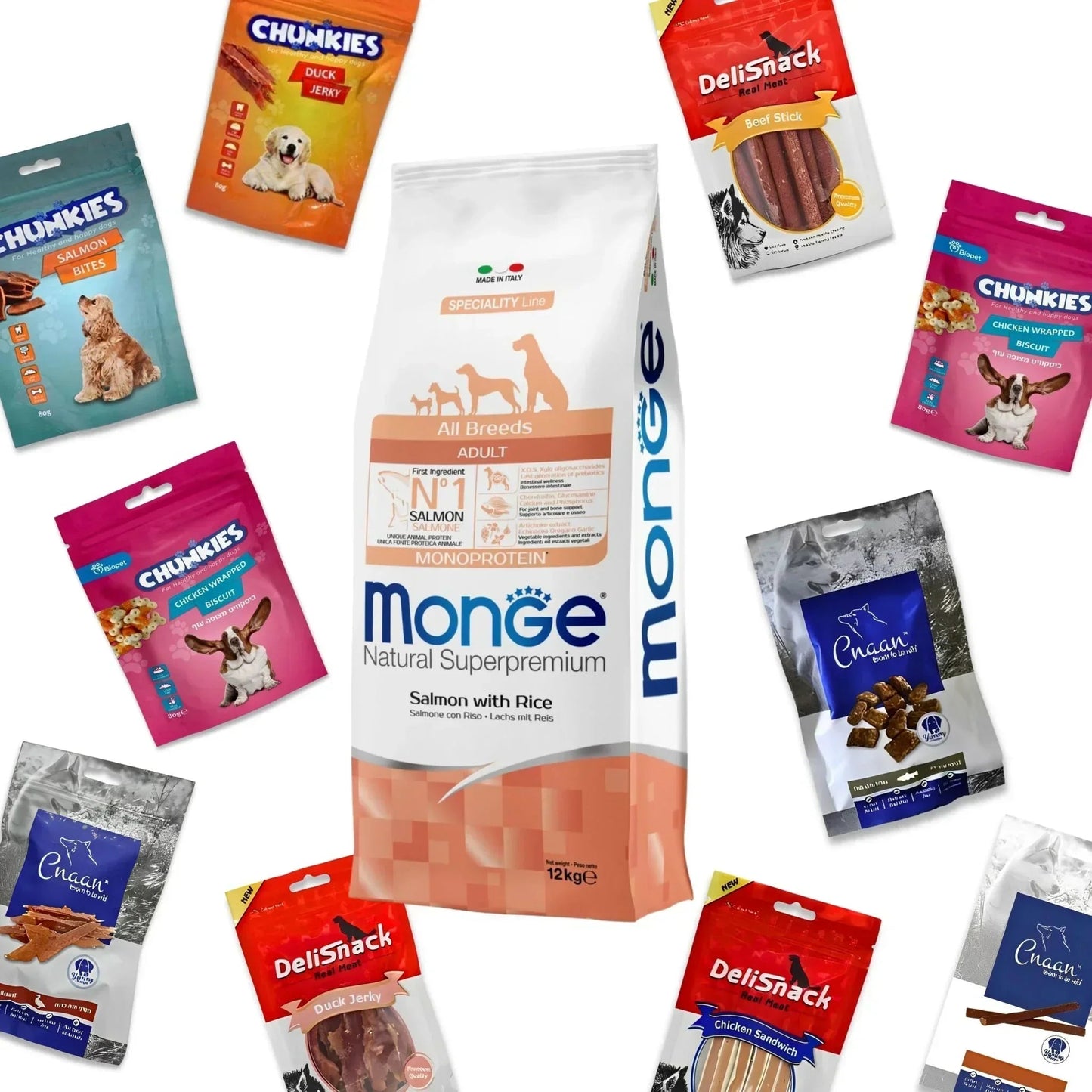 MONGE מונג’ סלמון לכלב בוגר 12 ק”ג + 12 חטיפים מתנה