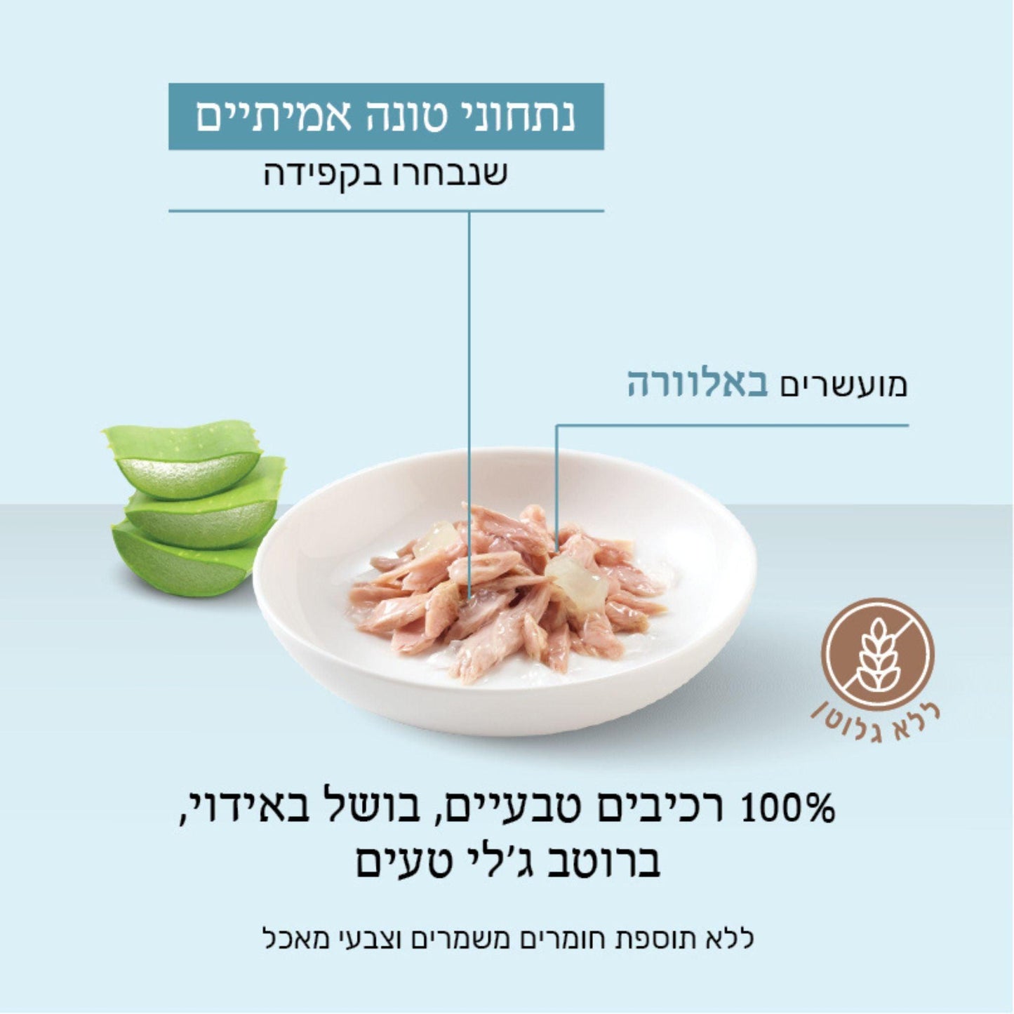 Schesir שזיר מעדן טונה ואלוורה בג’לי לחתולים 85 גרם