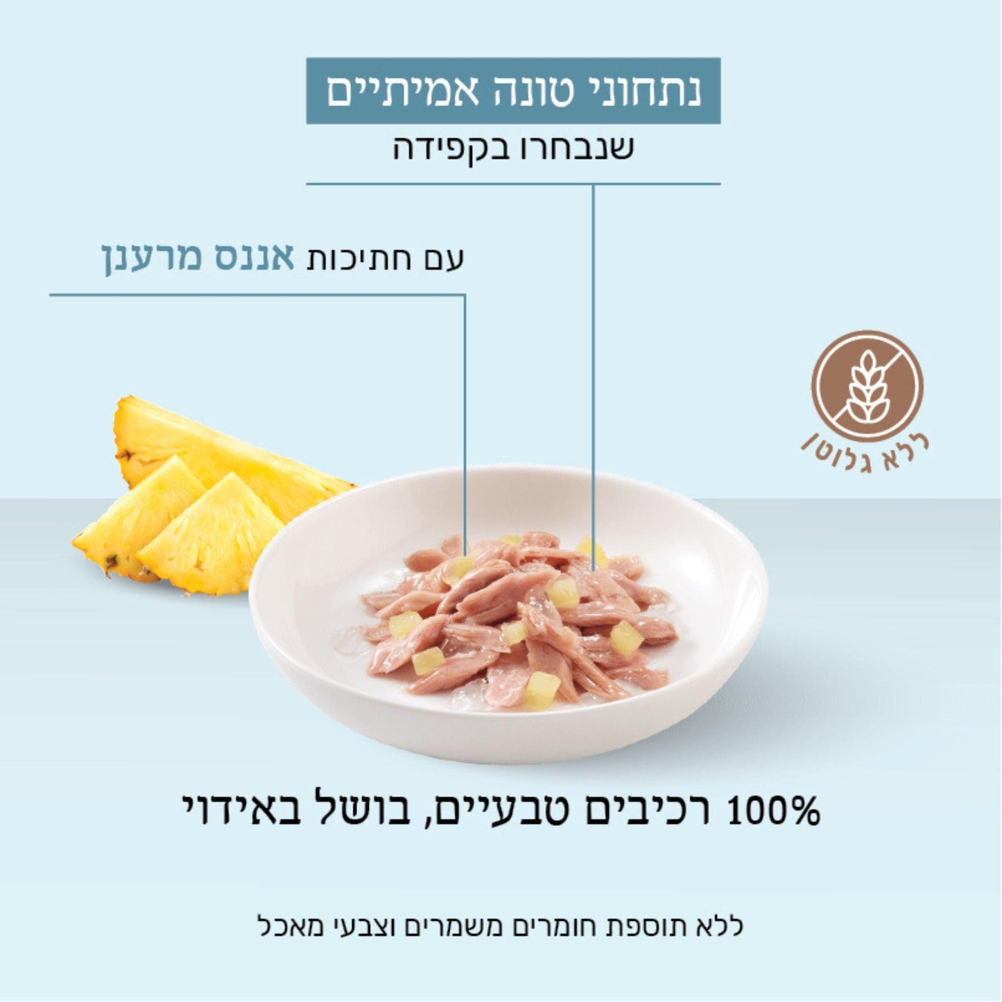 Schesir שזיר מעדן טונה ואננס בג'לי לחתולים 75 גרם