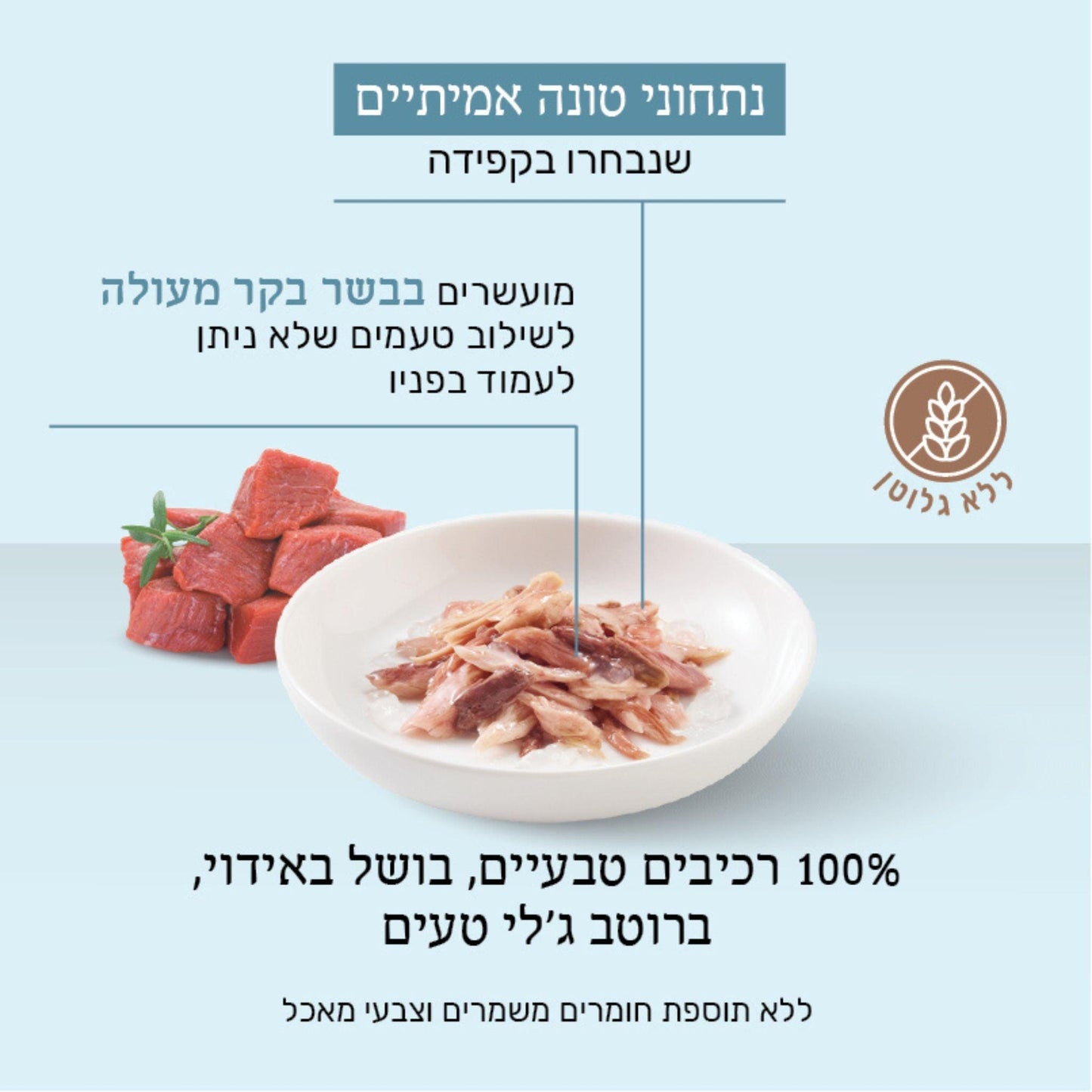 Schesir שזיר מעדן טונה עם נתחוני בקר בג’לי לחתולים 85 גרם