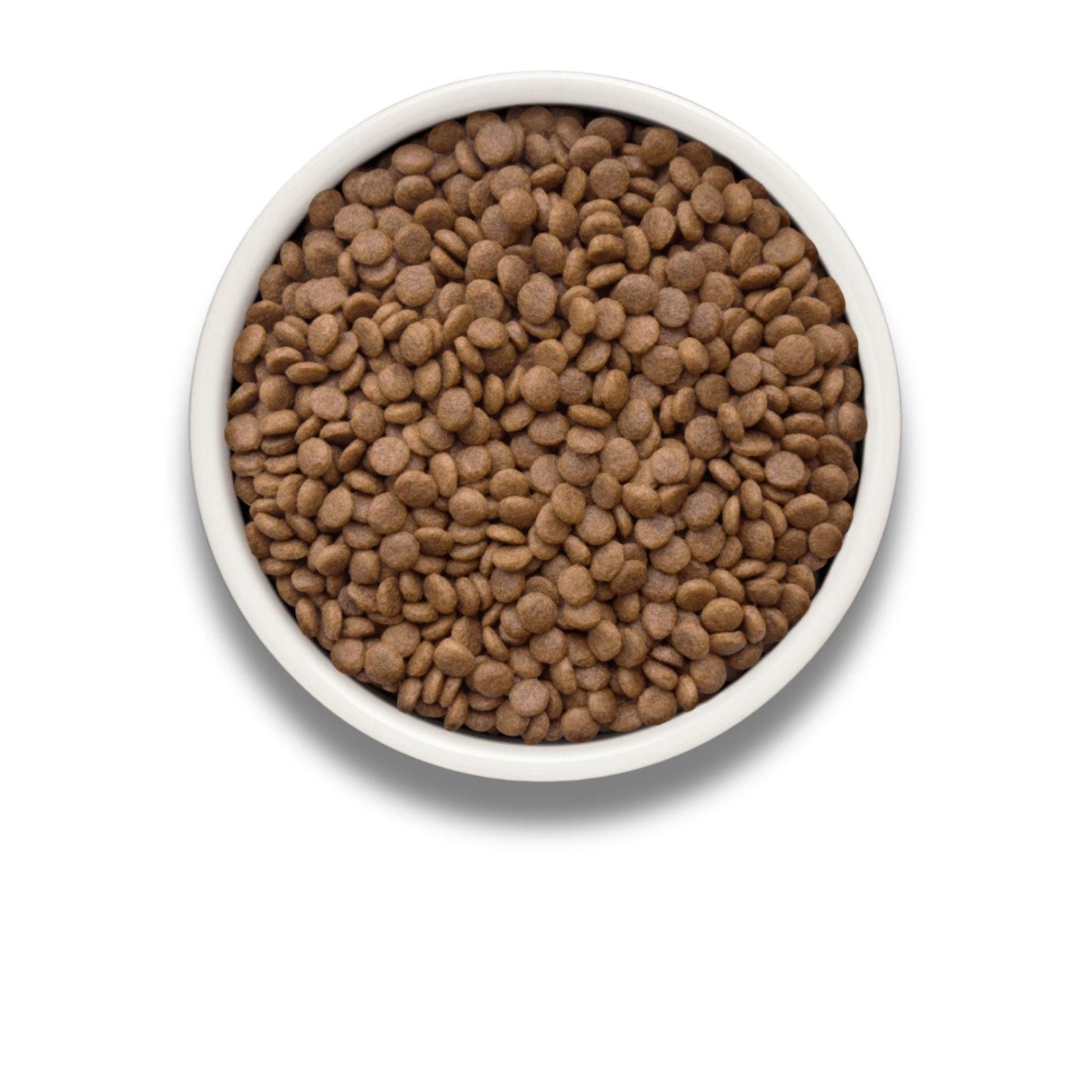 GRANDORF Fresh Salmon GRANDORF Fresh Salmon для стерилизованных или взрослых кошек, гипоаллергенный, 2 кг