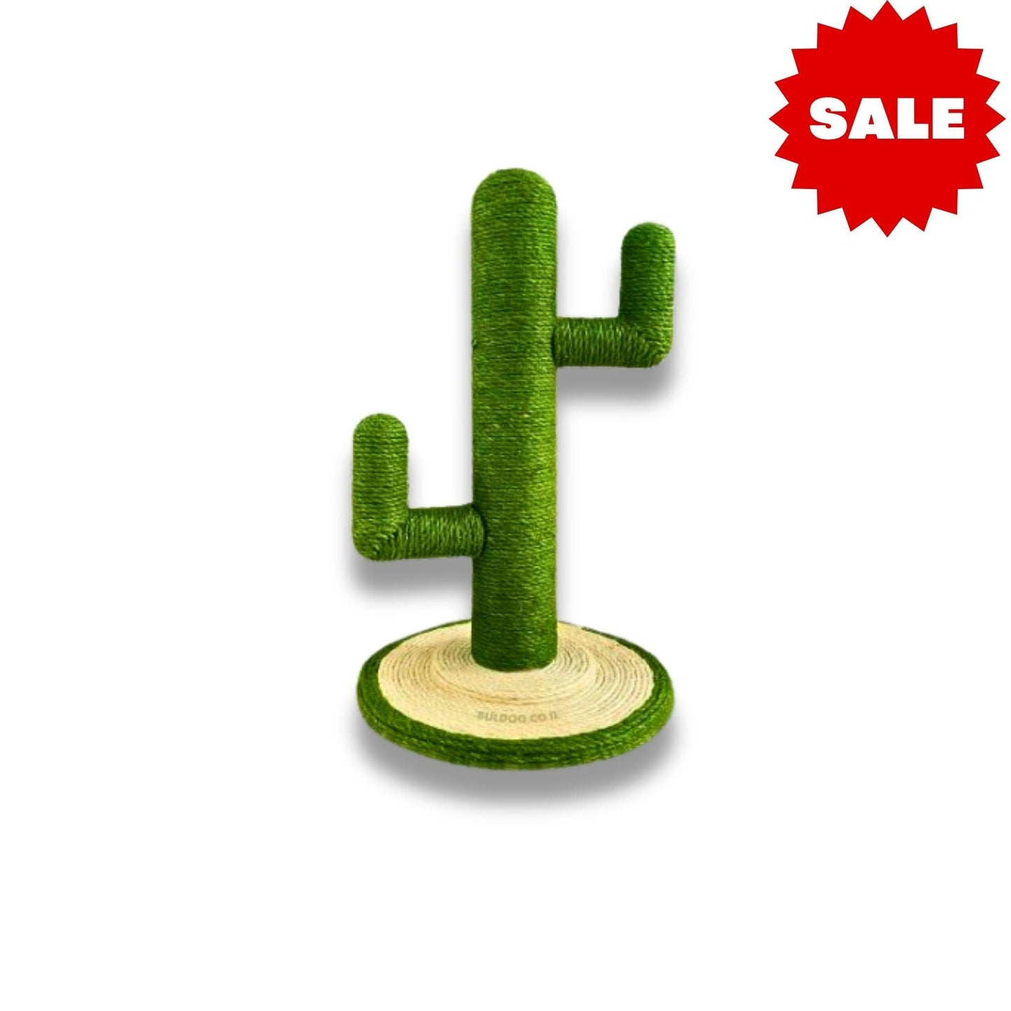 Cats Scratching Toy עמוד גירוד לחתול קקטוס ירוק