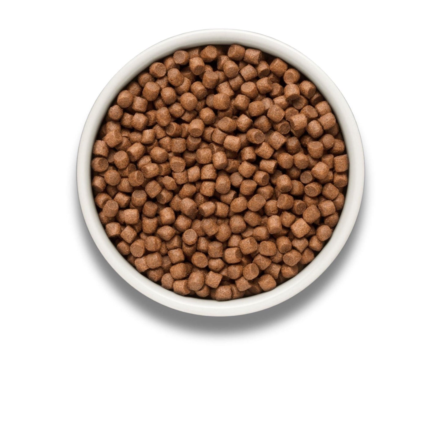 GRANDORF Fresh Salmon Mini Grandorf Fresh Salmon для взрослых собак мелких пород 3 кг Гипоаллергенный