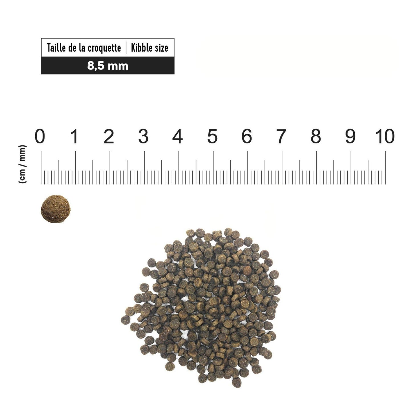 First Choice - פירסט צ'ויס מזון לכלבים בוגרים מגזע קטן מיני עוף 2 ק"ג