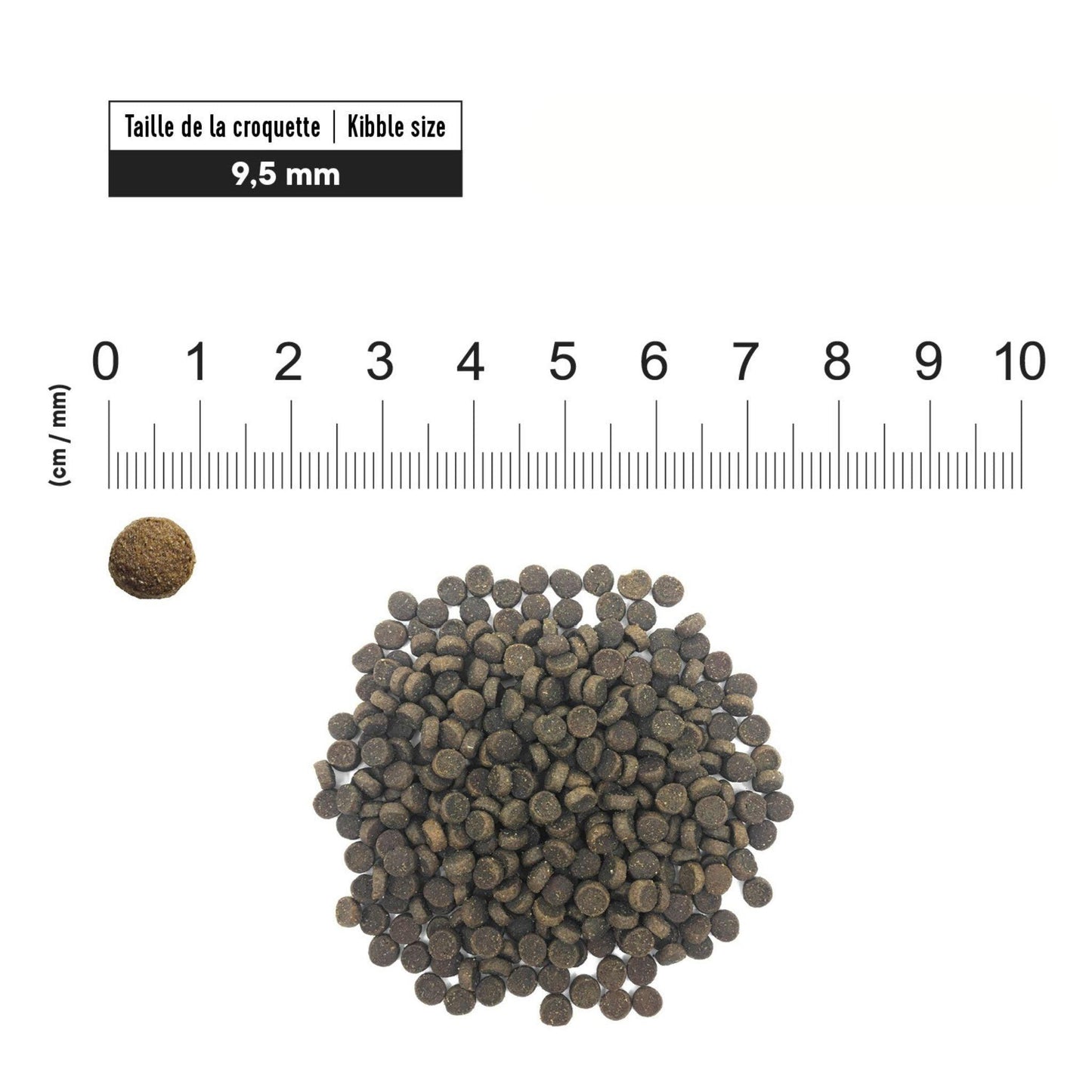 First Choice - פירסט צ'ויס מזון יבש לחתולים בוגרים סלמון הלט'י סקין & קואוט 2.72 ק"ג