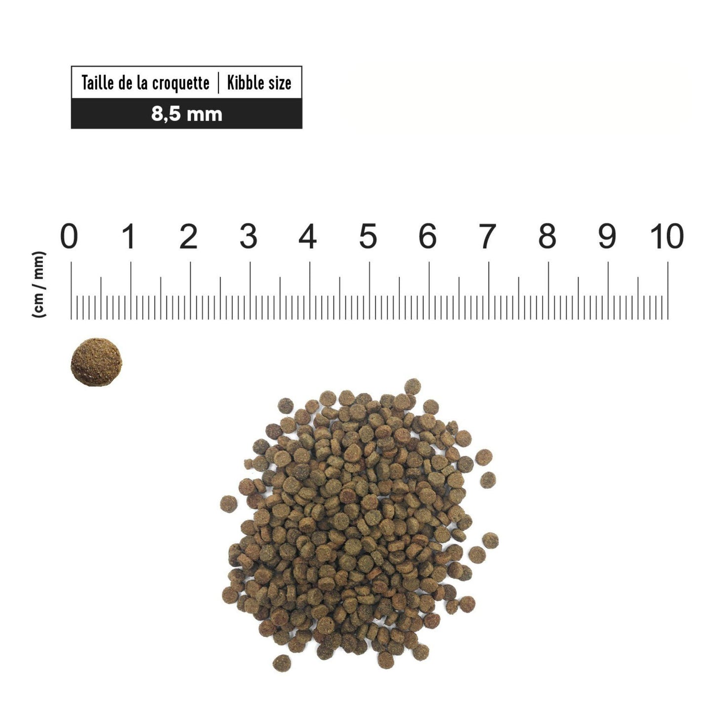 First Choice - פירסט צ'ויס מזון לכלבים מבוגרים מגזע קטן מיני סניור עוף 2 ק"ג