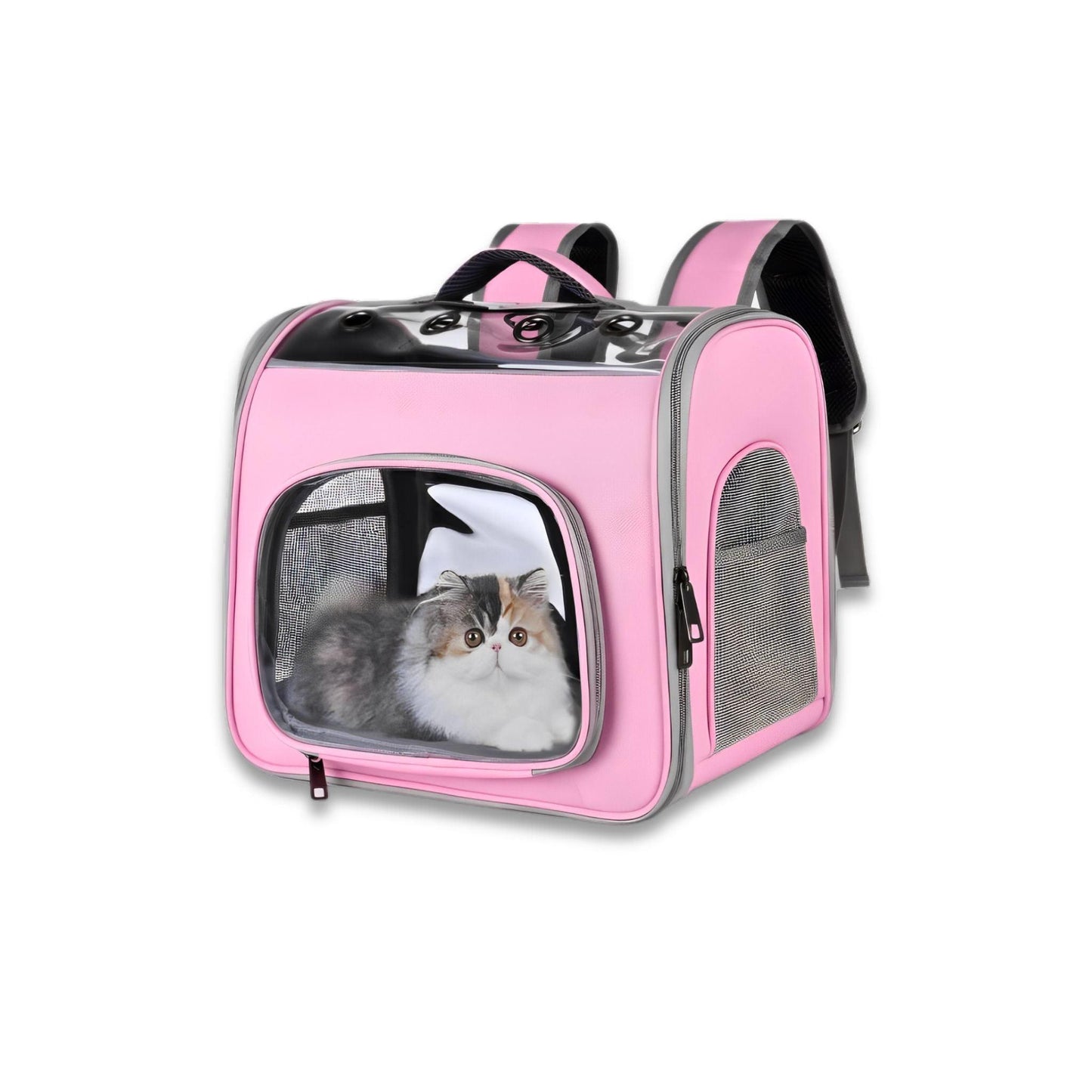 תיק גב נשיאה שקוף מתקפל לחתול ולכלב