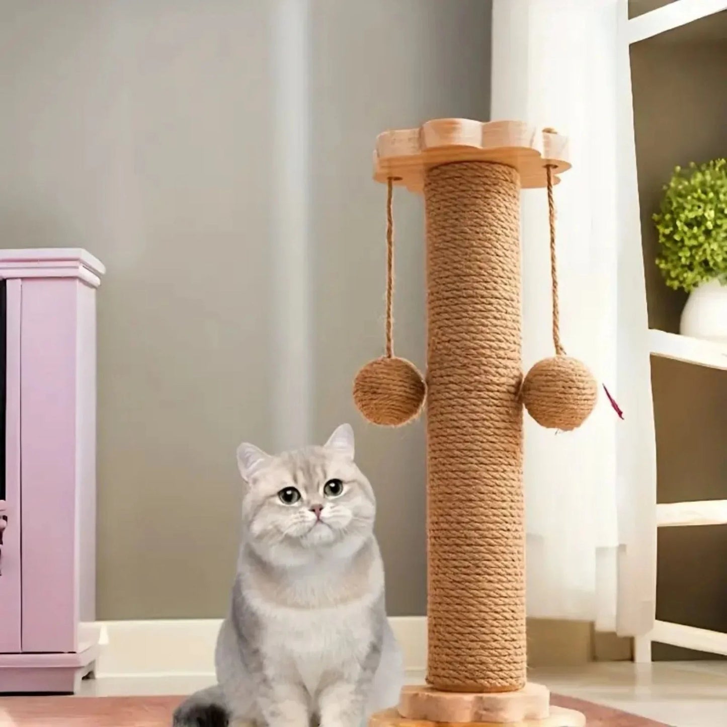 עמוד גירוד לחתול עם כדורים