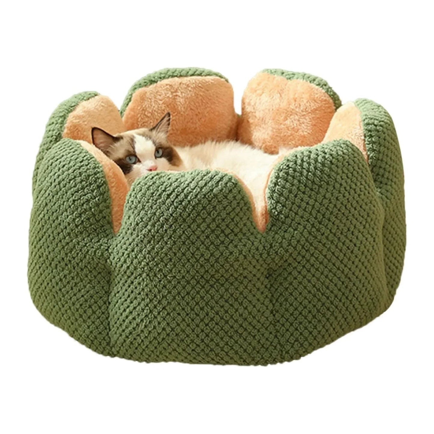 מיטה לכלבים וחתולים בצורת פרח מידה גדול