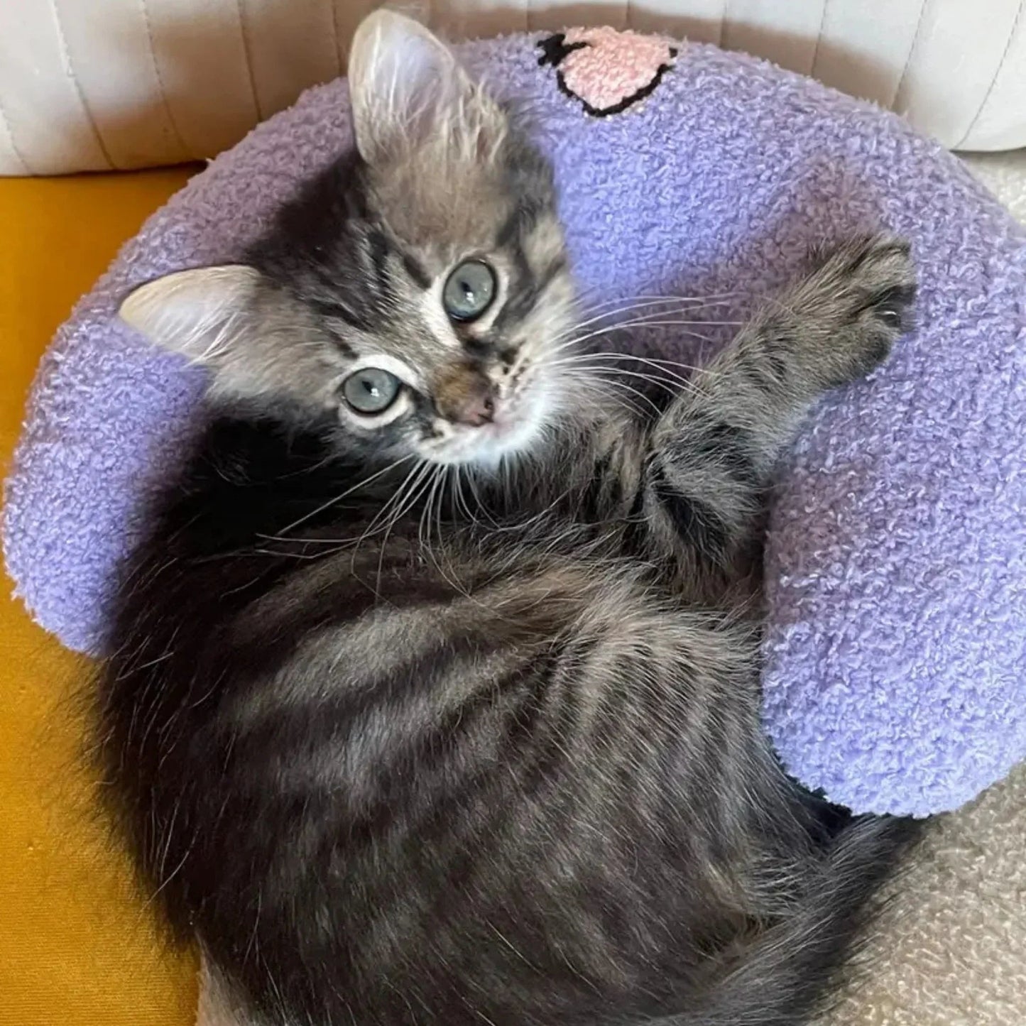 כרית חצי סהר רכה במיוחד לחתולים צבע ורוד