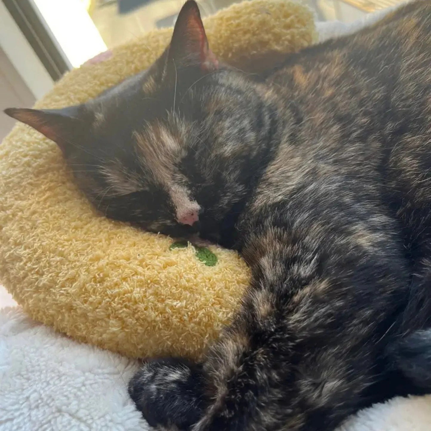 כרית חצי סהר רכה במיוחד לחתולים צבע סגול