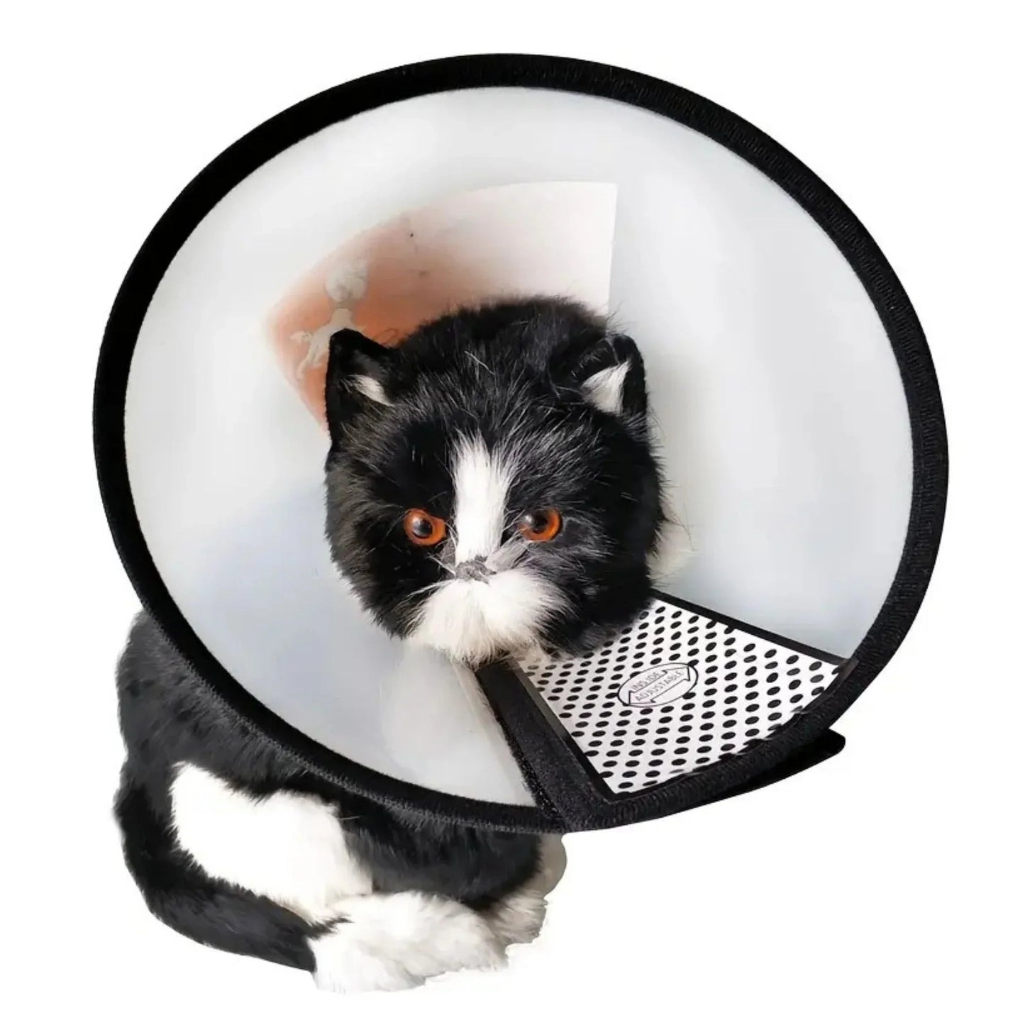 קולר אליזבת לכלבים וחתולים מידה גדול