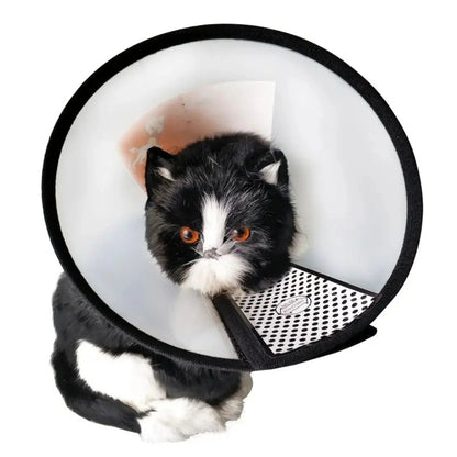 קולר אליזבת לכלבים וחתולים מידה גדול