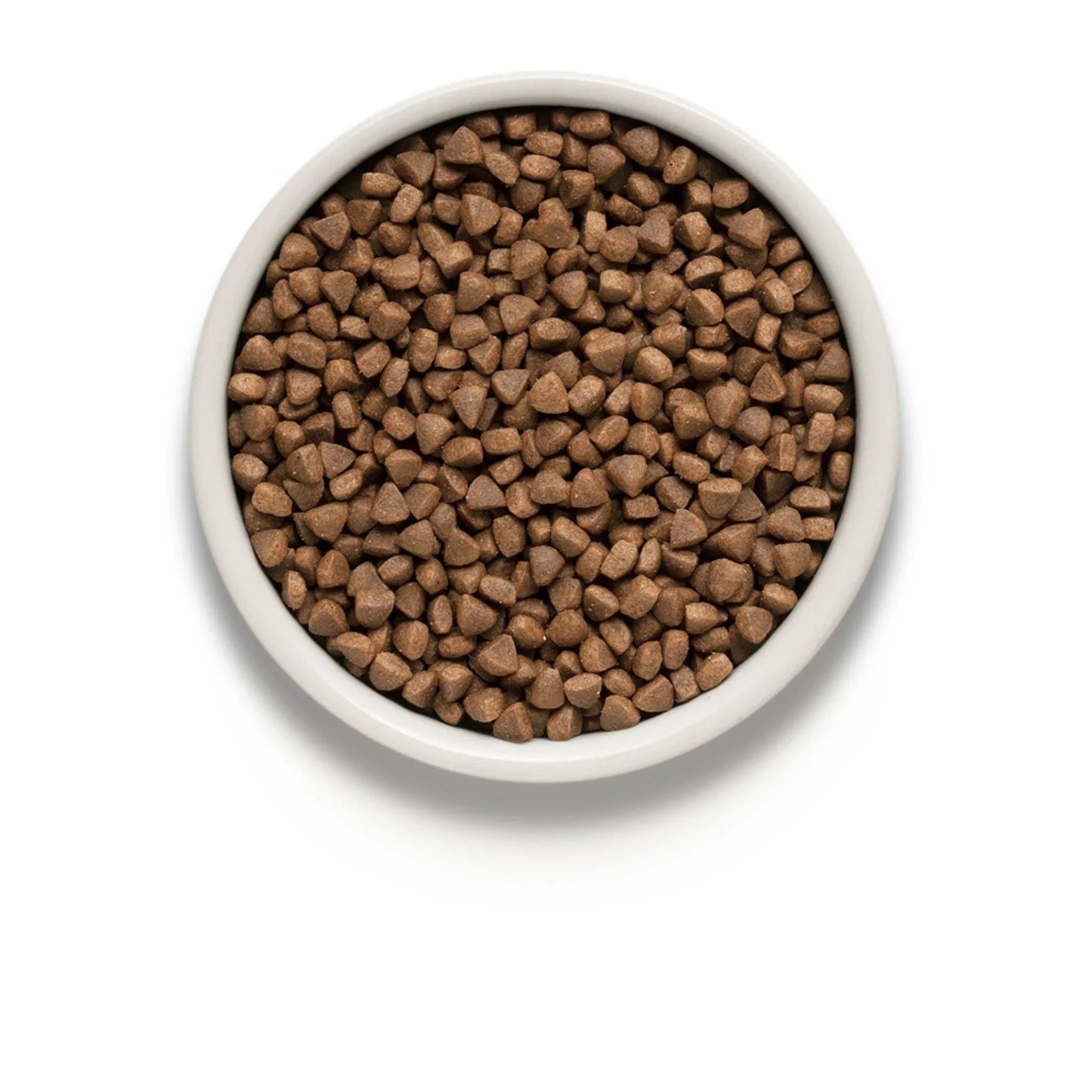 GRANDORF Ягненок для кошек породы Грандорф (ягненок и индейка) для дома, 8 кг, 2 мешка + подарок.