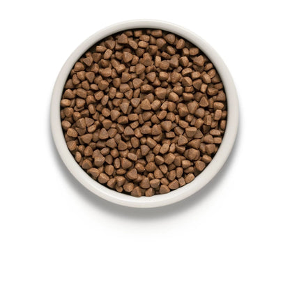 GRANDORF Ягненок для кошек породы Грандорф (ягненок и индейка) для дома, 8 кг, 2 мешка + подарок.