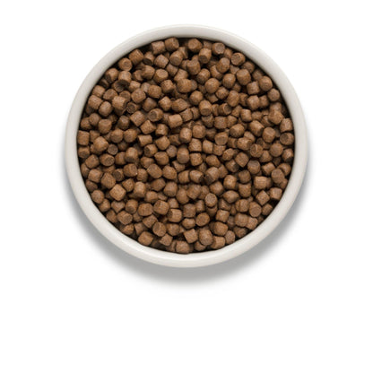 GRANDORF Lamb Mini Grandorf Mini Ягненок и индейка для взрослых собак 3 кг Гипоаллергенный