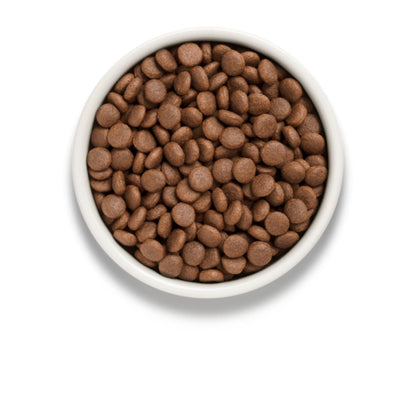 GRANDORF Duck Grain Free גרנדורף ברווז והודו לכלבים בוגרים 10 ק״ג ללא דגנים היפואלרגני