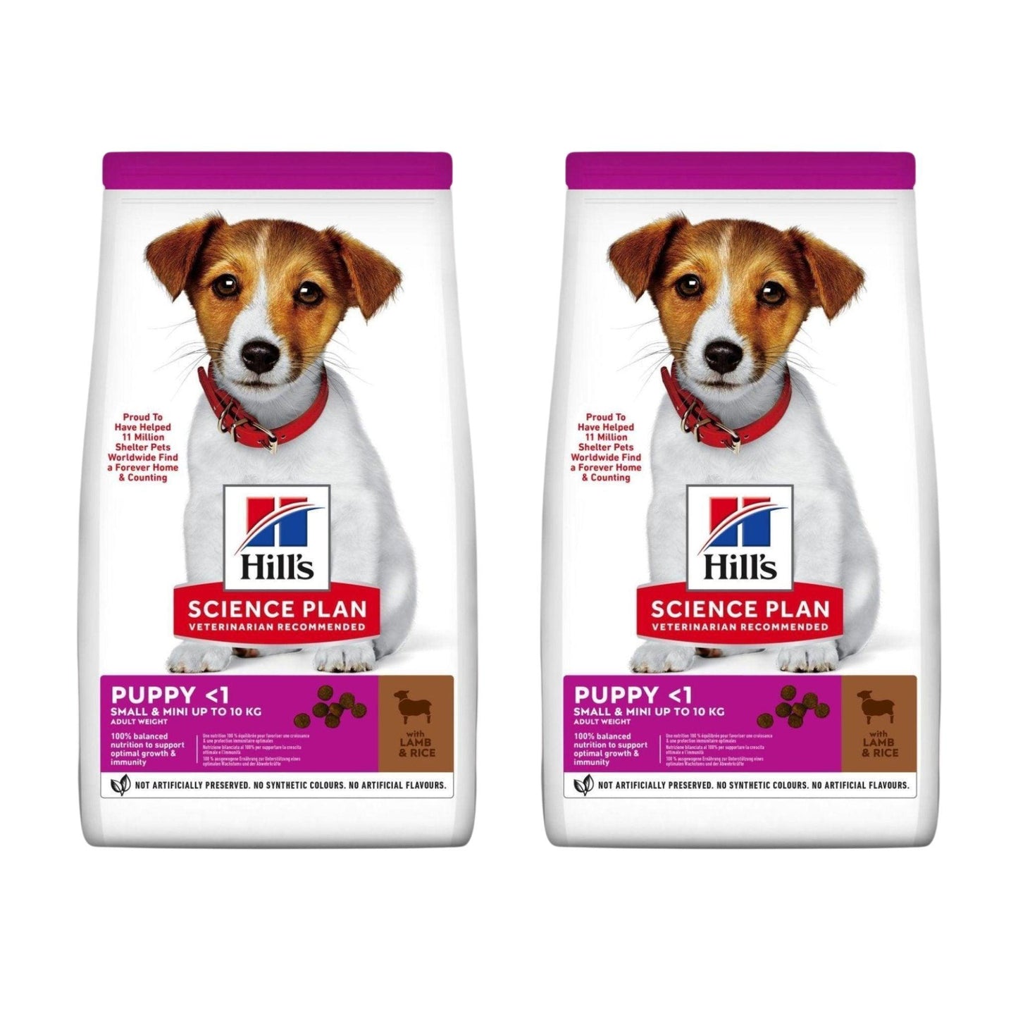 HILLS - הילס מזון לכלבים גורים גזע קטן כבש 6 ק"ג מבצע 2 שקים רק ב-₪489