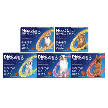 NexGard SPECTRA נקסגארד ספקטרה לכלבים בינוני או גדול במשקל 15-30 ק”ג
