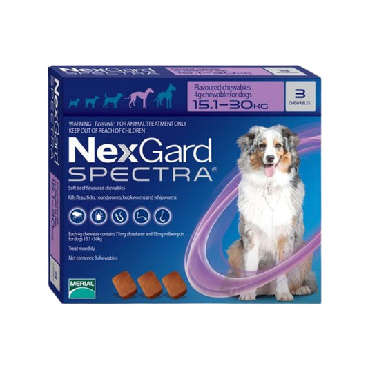 NexGard SPECTRA נקסגארד ספקטרה לכלבים בינוני או גדול במשקל 15-30 ק”ג