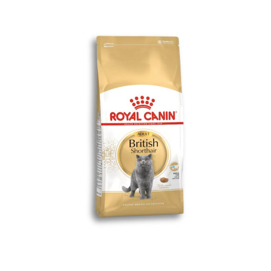 ROYAL CANIN British Shorthair Adult רויאל קנין אוכל לבריטי בוגר 10 ק"ג