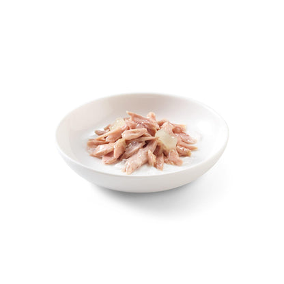 Schesir שזיר מעדן טונה ואלוורה בג’לי לחתולים 85 גרם