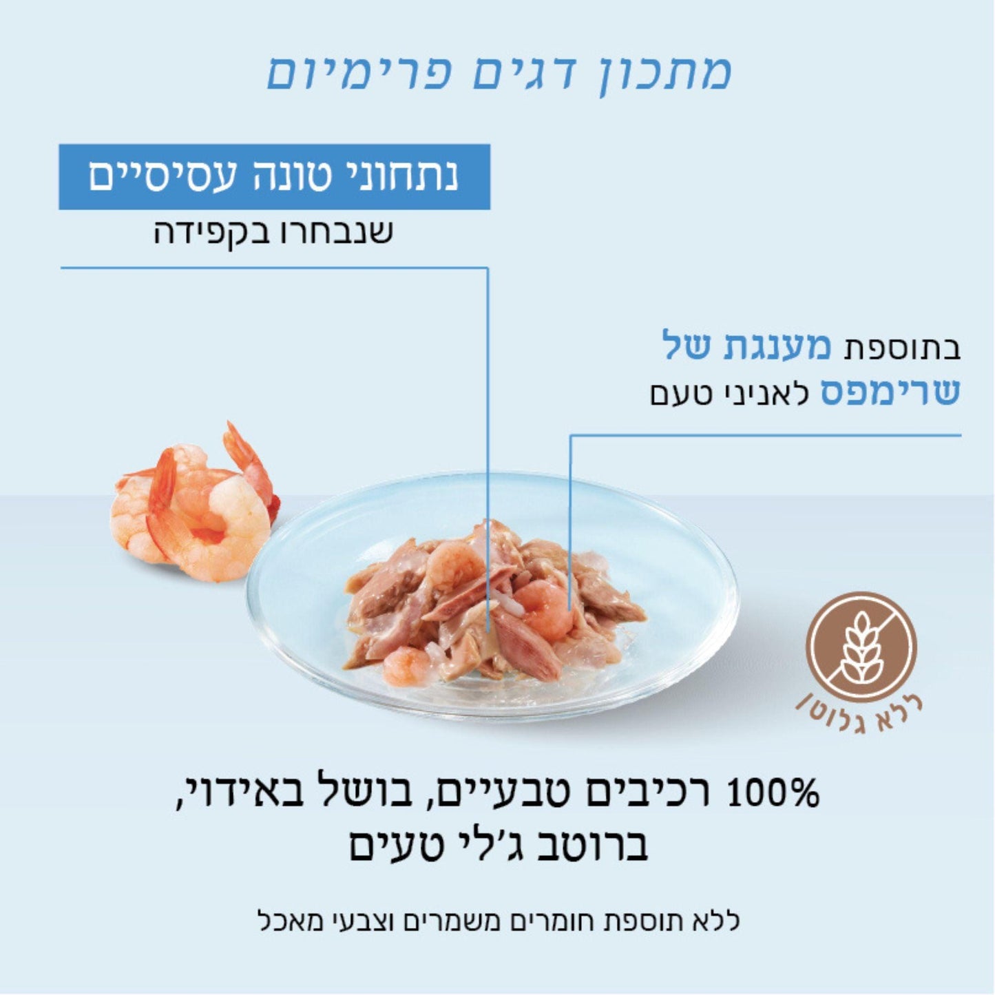 Schesir שזיר מעדן טונה עם שרימפס חסילונים בג’לי לחתולים 85 גרם