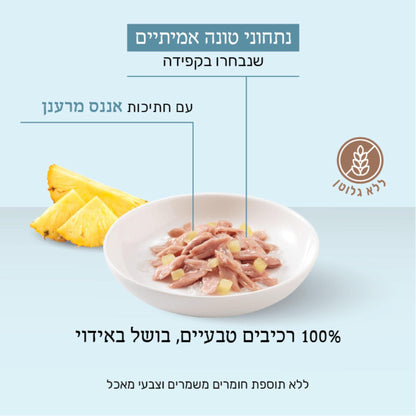 Schesir שזיר מעדן טונה ואננס בג'לי לחתולים 75 גרם