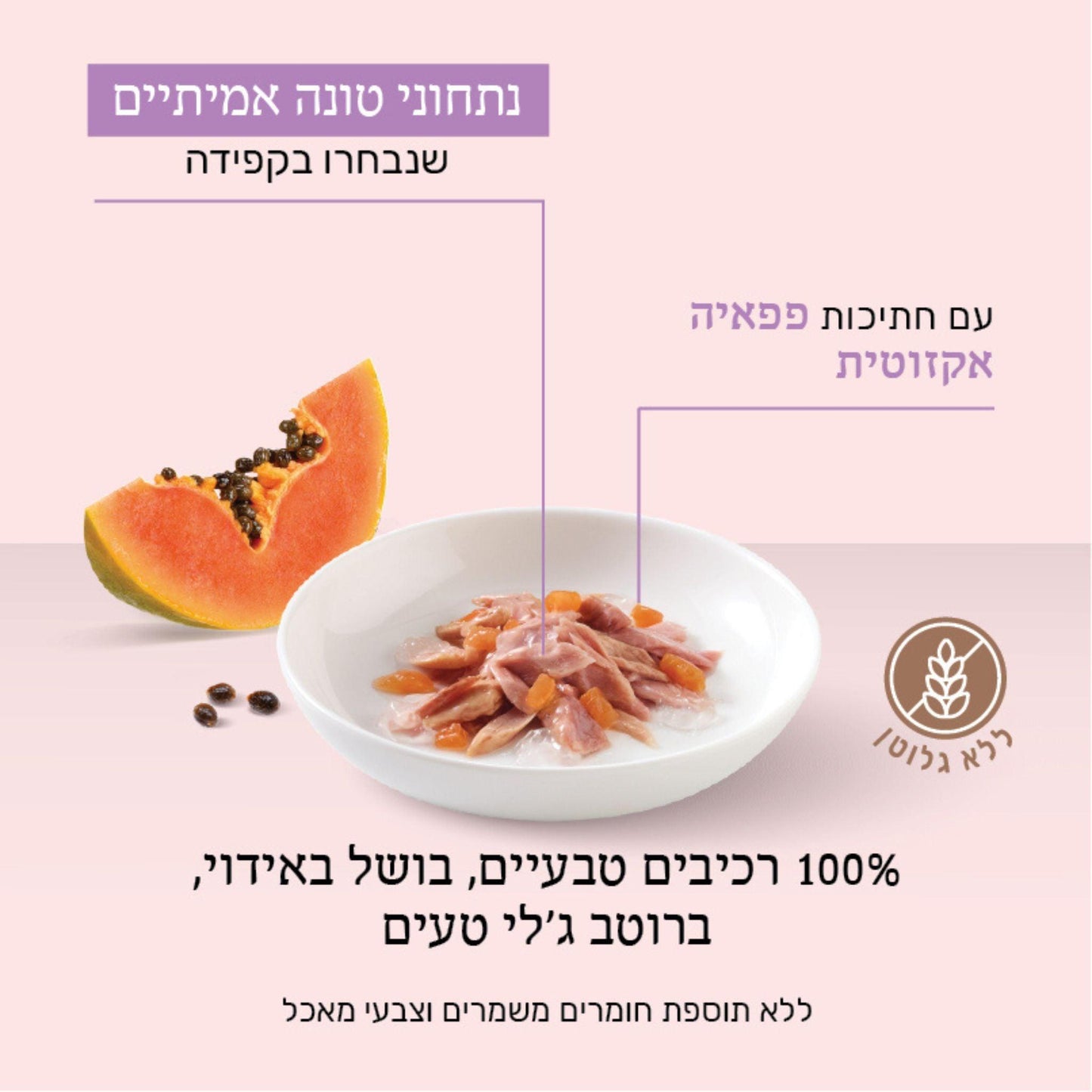 Лакомство для кошек Schesir из тунца и папайи в форме желе, 75 г.