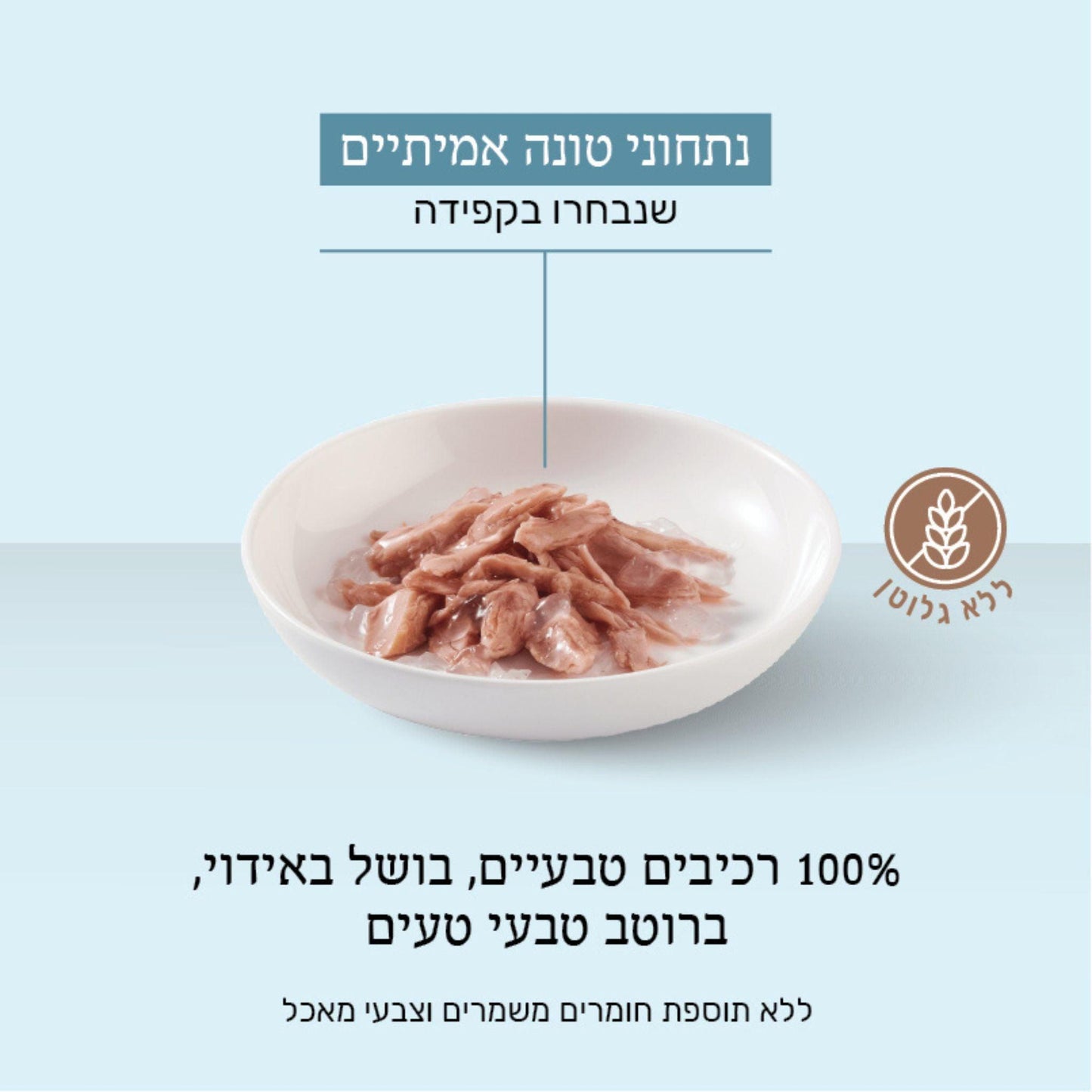 Лакомство для кошек Schesir в виде тунцового желе, 85 г