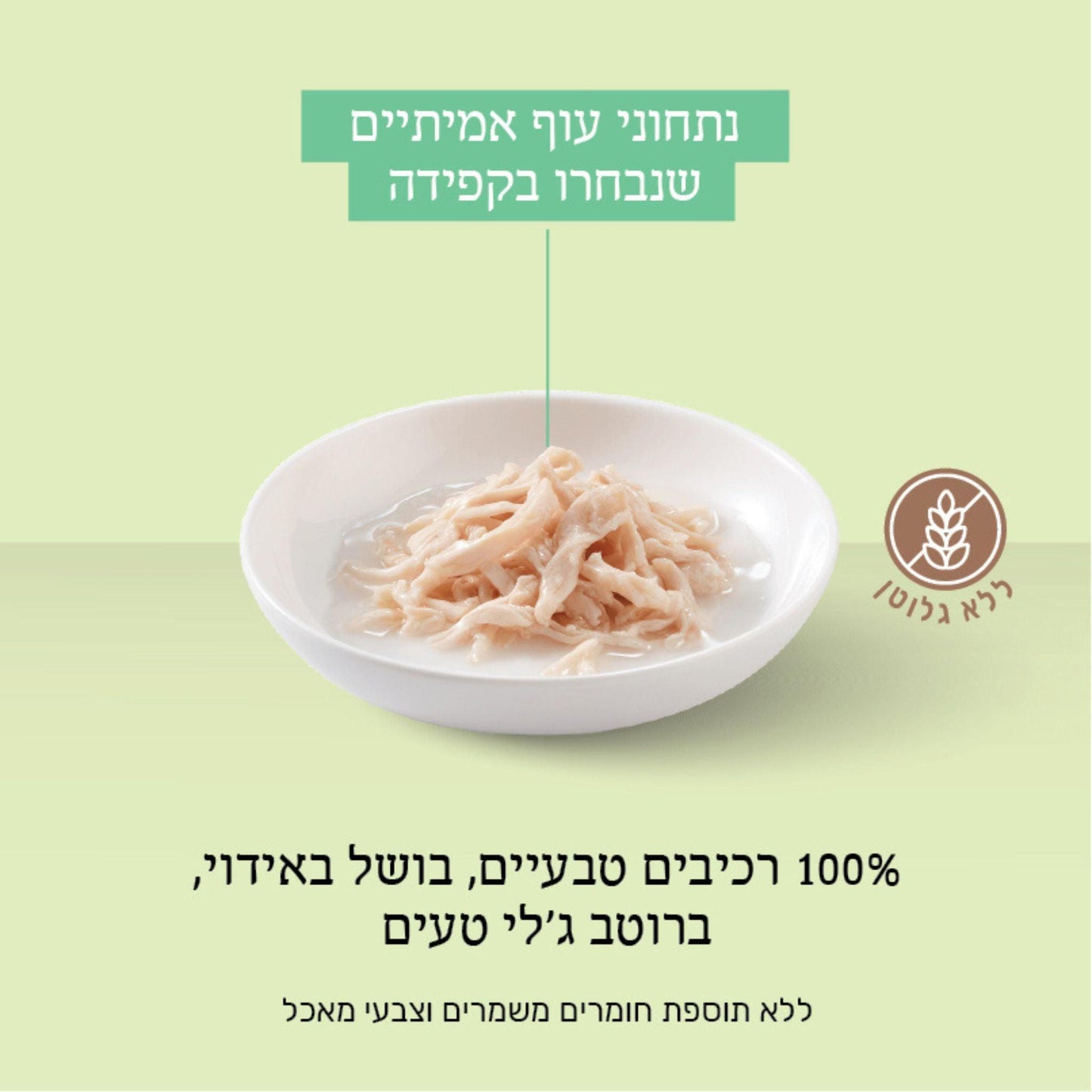 Лакомство для кошек Schesir в желе со вкусом курицы, 85 грамм