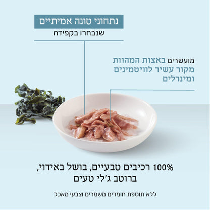 Лакомство для кошек Schesir в виде желе из тунца и морских водорослей, 85 грамм