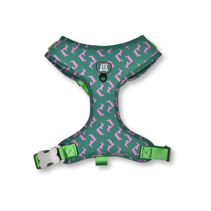 MIDEPET מיידפט L רתמה לכלב מעוצבת