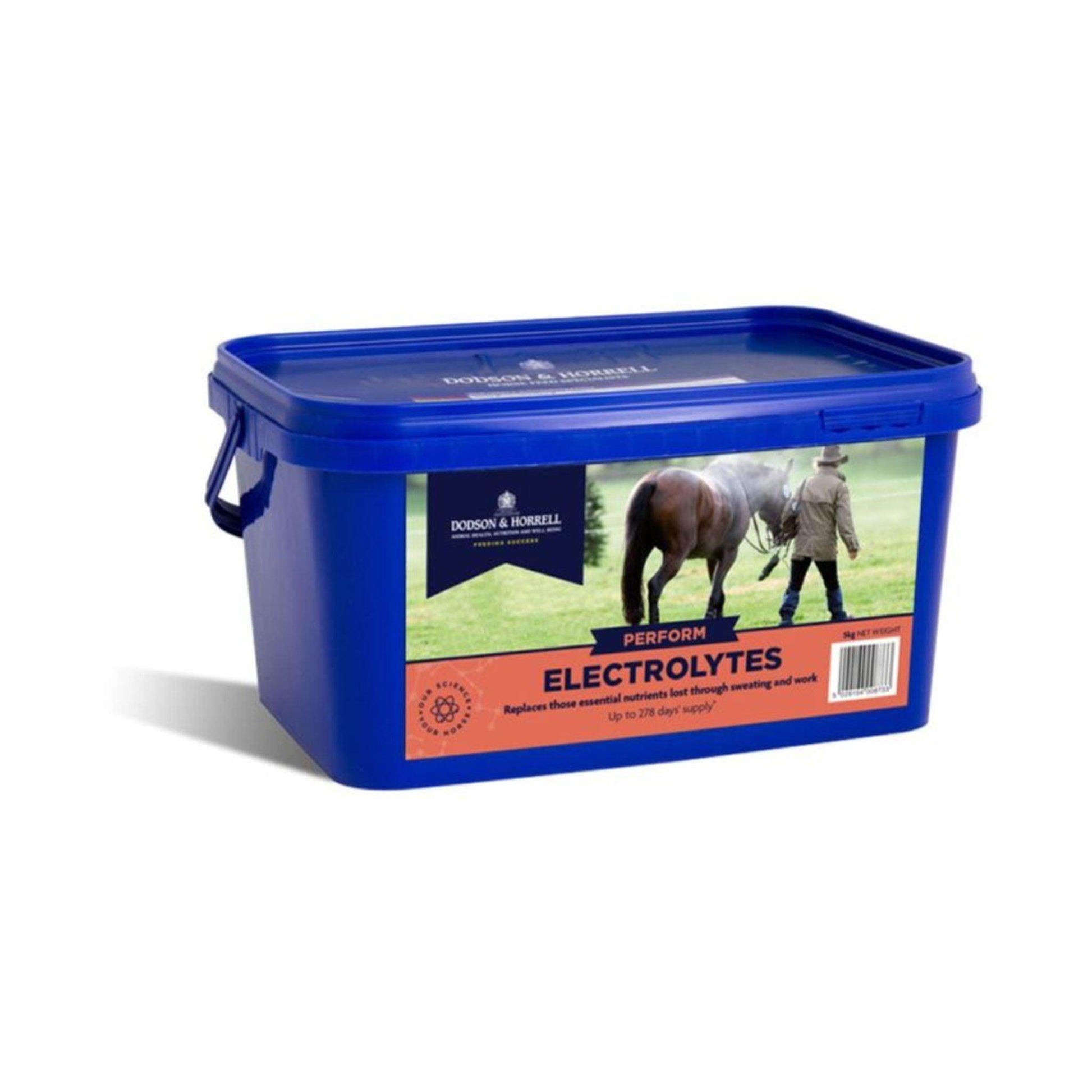 DODSON & HORRELL ELECTROLYTES דודסון והורל תוסף תזונה לסוסים אלקטרוליטים 2 ק”ג - PetCart