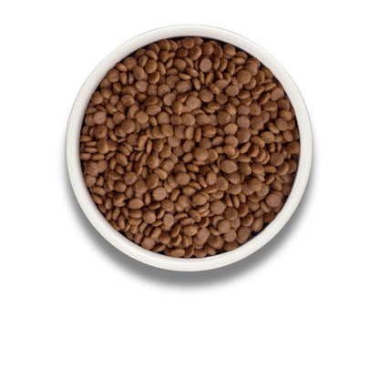 GRANDORF Fresh Salmon Grandorf Fresh Salmon для взрослых кошек Гипоаллергенный 2 кг