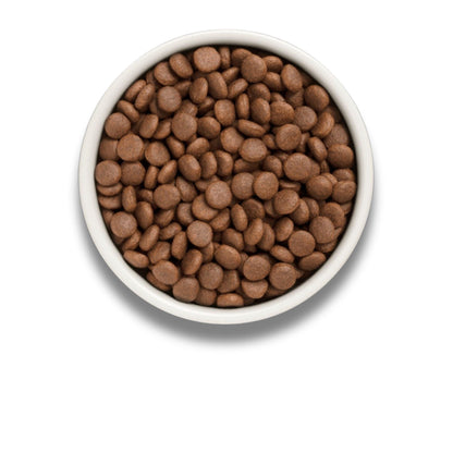 Свежий лосось GRANDORF для взрослых собак средних и крупных пород, 10 кг. Акция: 2 мешка + подарок.