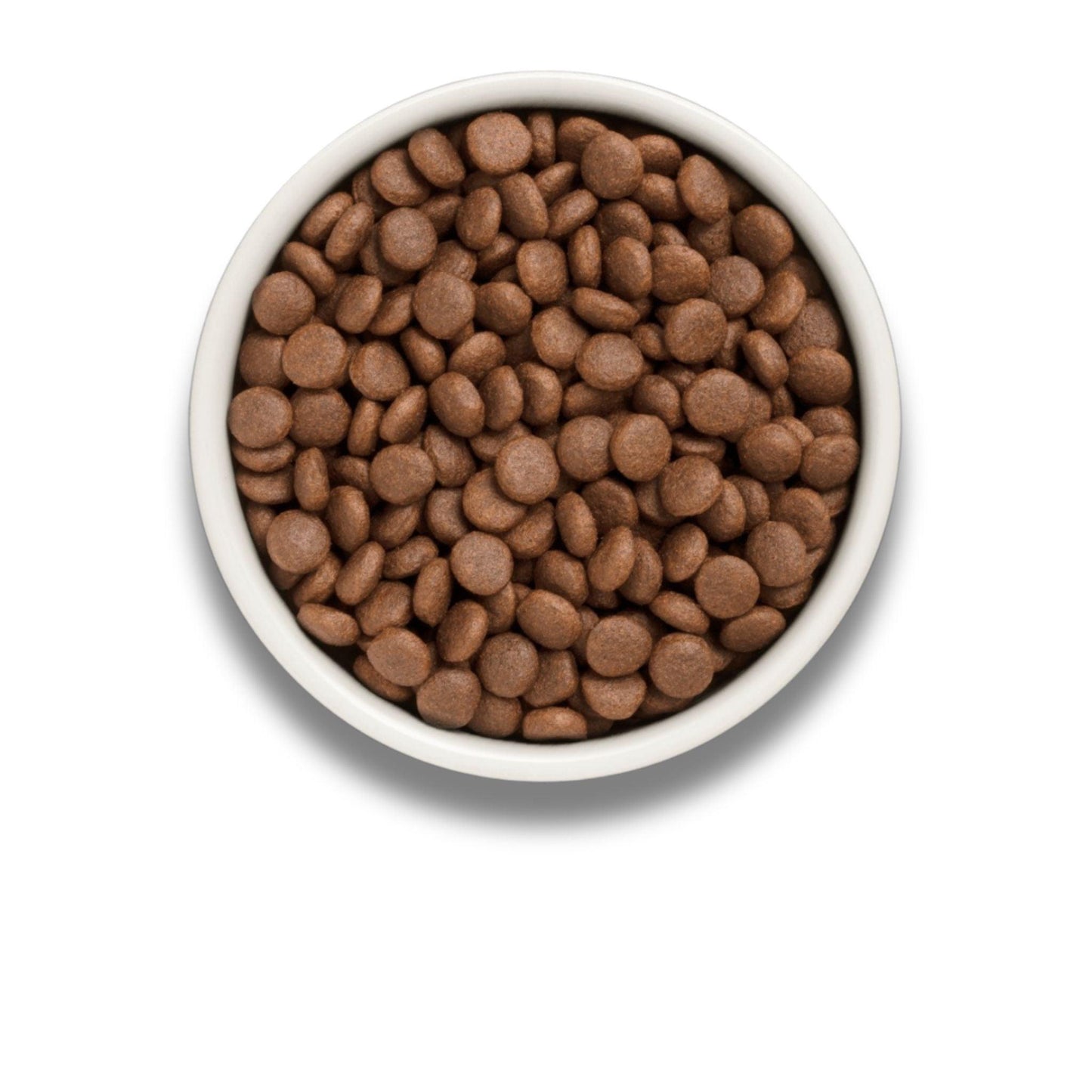 GRANDORF Fresh Salmon Grandorf Fresh Salmon для взрослых собак средних и крупных пород 10 кг гипоаллергенный