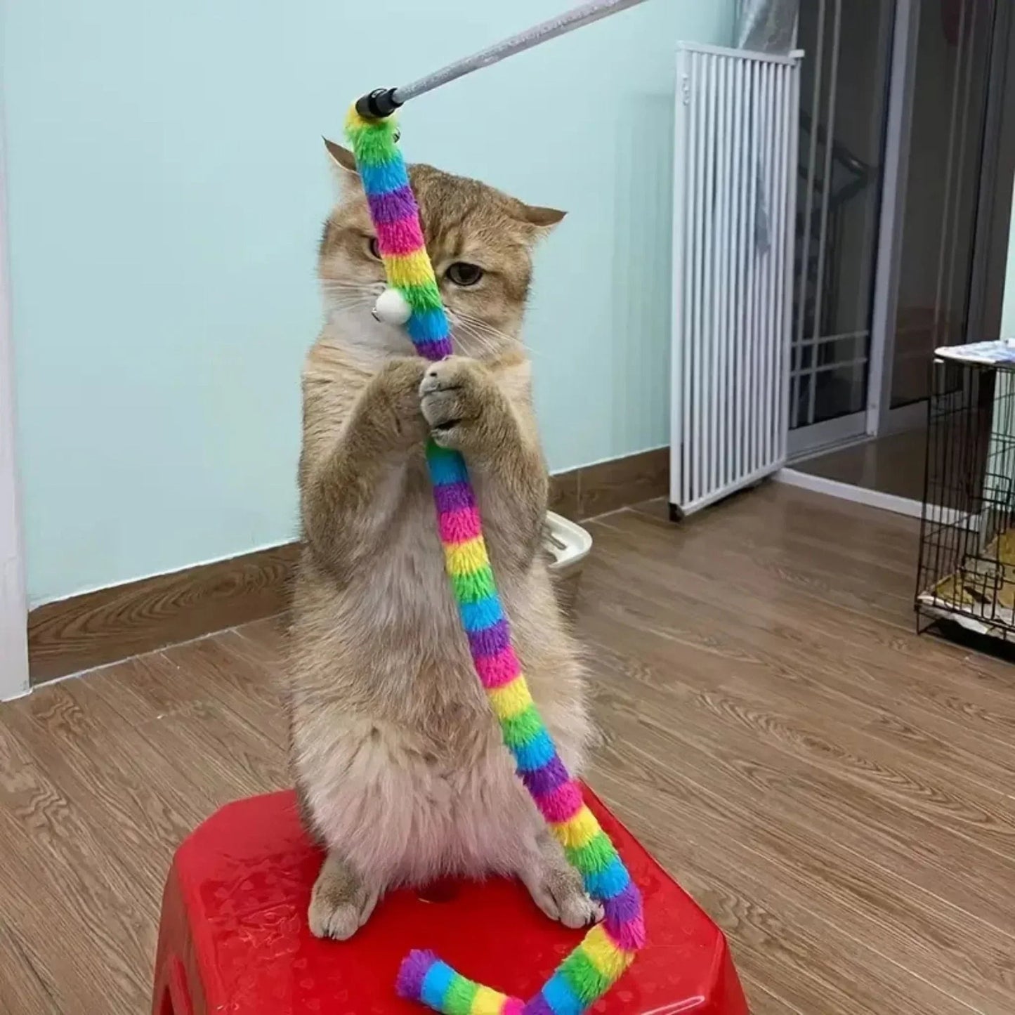 חכת צעצוע לחתול עם נחש פרוותי צבעוני