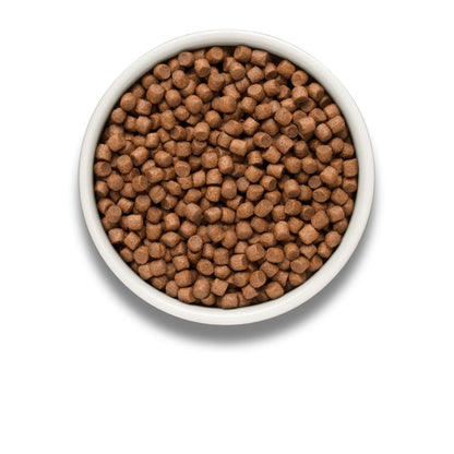 GRANDORF Fresh Salmon Mini Grandorf Fresh Salmon для взрослых собак мелких пород 3 кг Гипоаллергенный