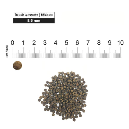 First Choice - פירסט צ'ויס מזון לכלבים בוגרים מגזע קטן מיני עוף 2 ק"ג