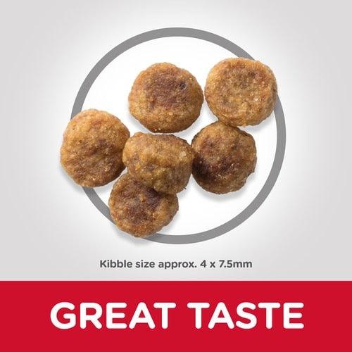 HILLS - הילס מזון לכלב בוגר גזע קטן כבש 6 ק"ג