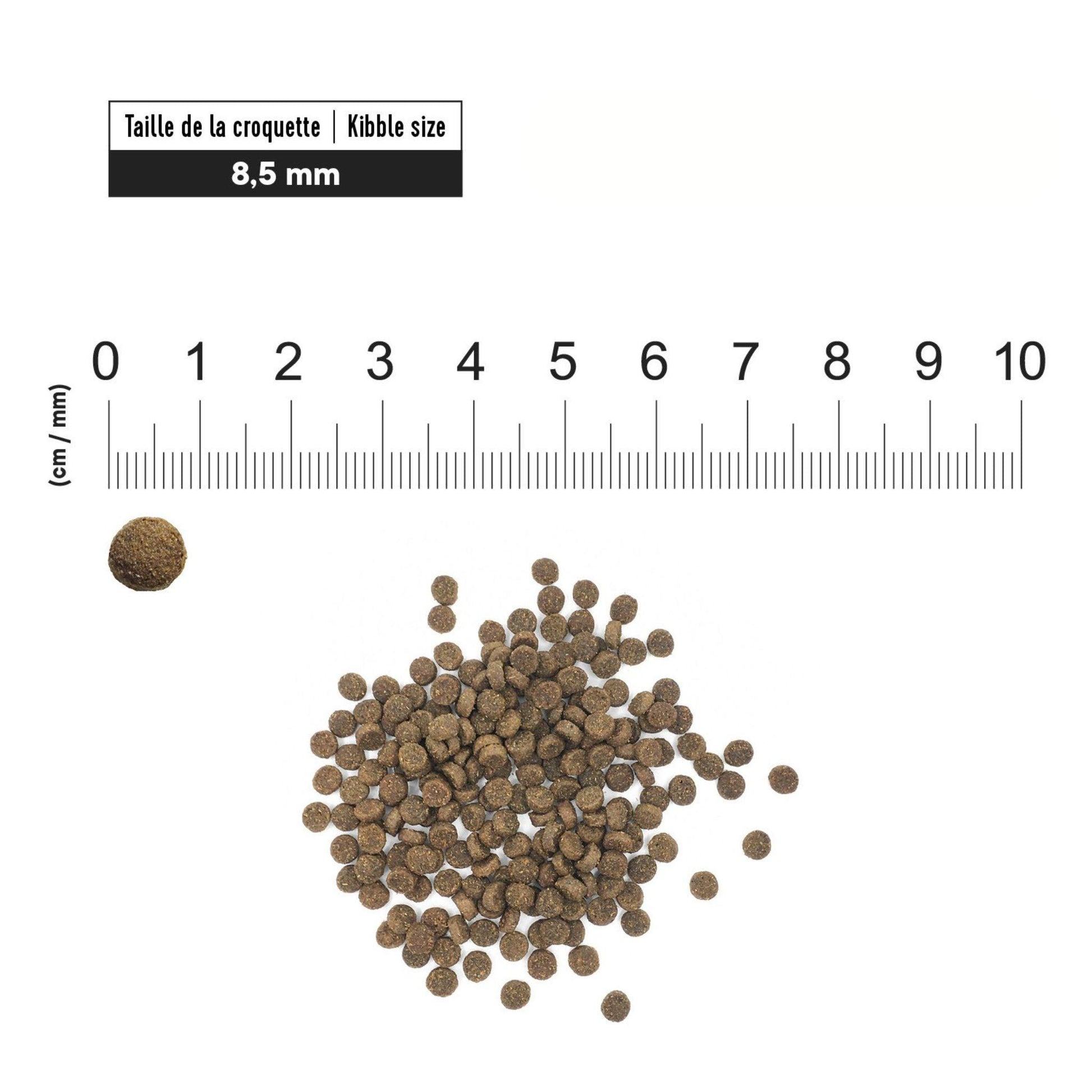First Choice - פירסט צ'ויס מזון לכלבים בוגרים מגזע קטן מיני כבש דגים 5 ק"ג