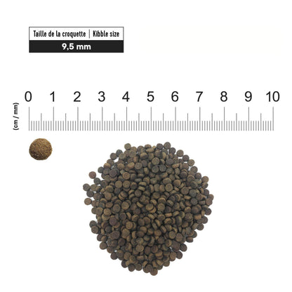 First Choice - פירסט צ'ויס מזון יבש לחתולים בוגרים ופעילים עוף פינקי 2.72 ק"ג