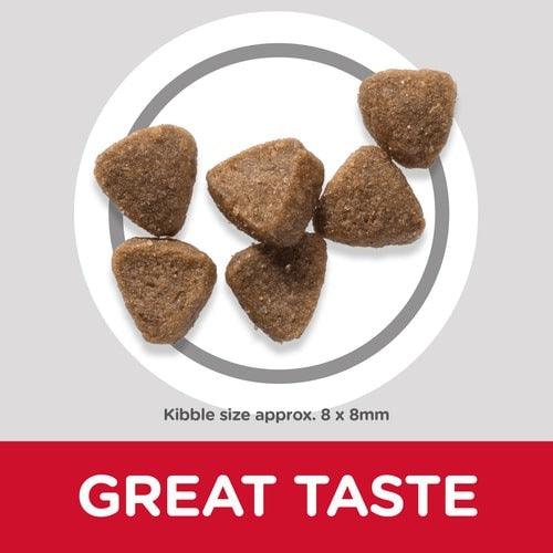 HILLS - הילס קיטן מזון לגורי חתולים עוף