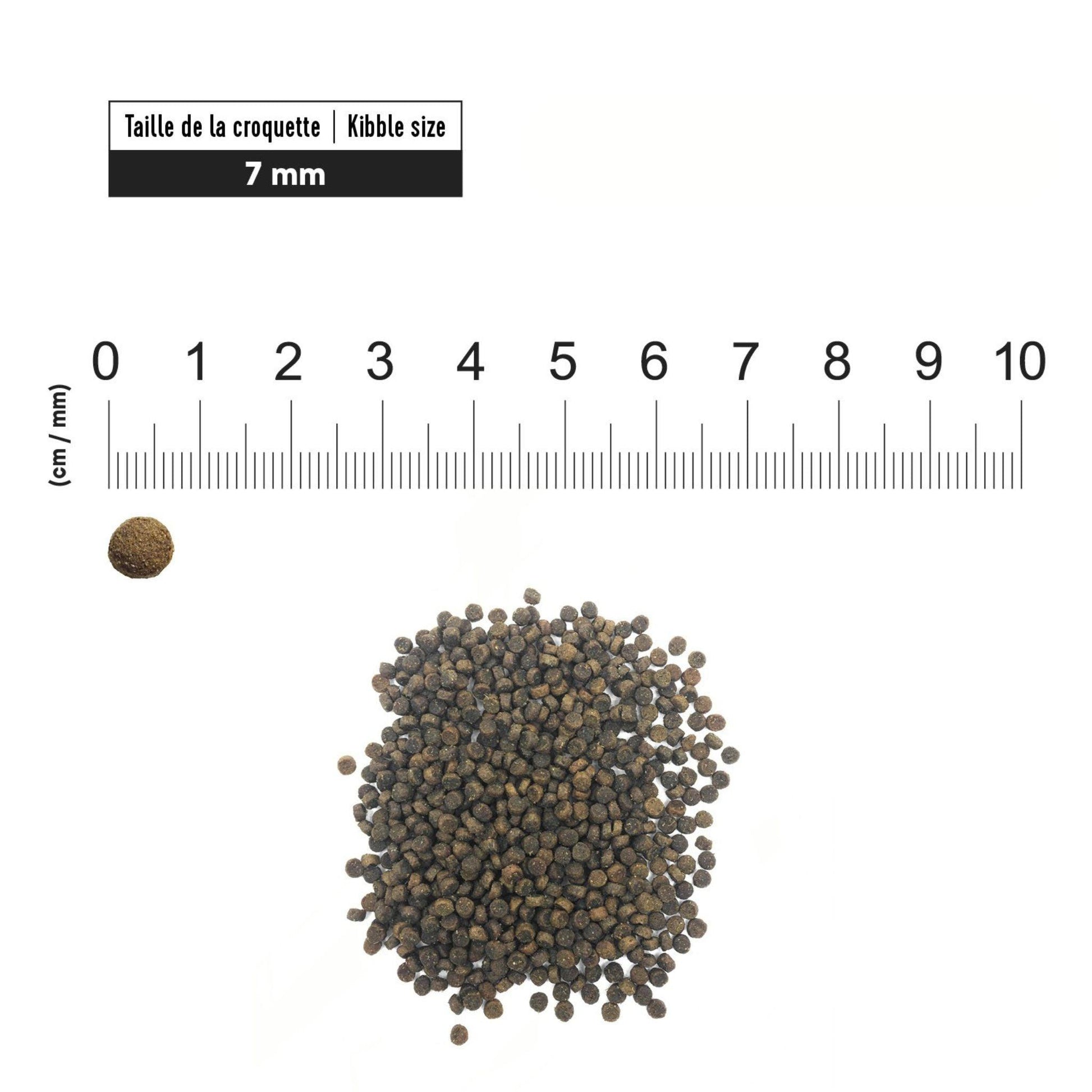 First Choice - פירסט צ'ויס מזון לכלבים גורים מגזע קטן מיני עוף 5 ק"ג