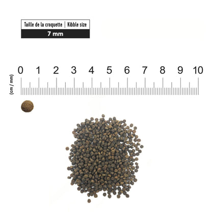 First Choice - פירסט צ'ויס מזון לכלבים גורים מגזע קטן מיני עוף 5 ק"ג